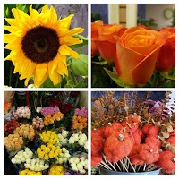 Nash and Sons Florist 1071389 Image 3